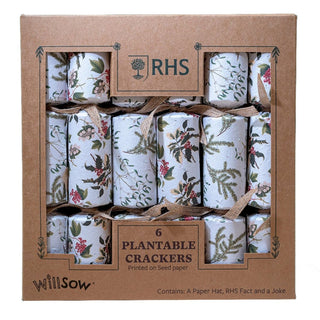 6 Plantable Christmas Crackers, Botanical Print with Wildflower Seeds