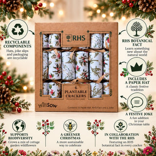 6 Plantable Christmas Crackers, Botanical Print with Wildflower Seeds