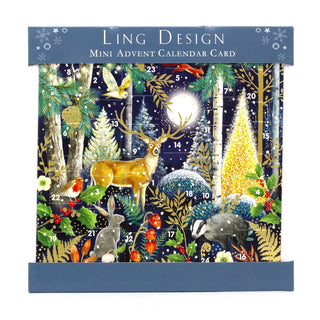 Magical Wonderland - Christmas Advent Calendar | Greetings Card & Envelope
