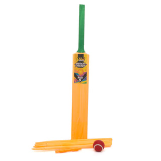 V12 Sport Neon Beach Play Cricket Set - Size 5 | 10+ Years Junior Cricket Bat Set For Kids | Children's Cricket Bat Garden Outdoor Games - Colour Varies One Supplied