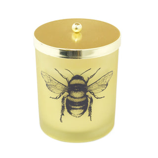 Honey Bee Scented Candle In Glass Pot | Fragranced Candle Holder Aroma Candle And Pot | Bee Candle Holder With Fragrance Candle Bee Decoration