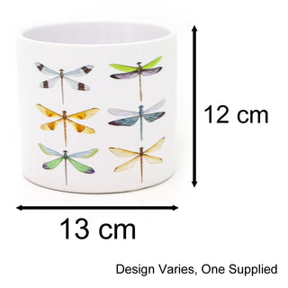White Terracotta Planter | Nature-Inspired Butterflies and Dragonflies Plant Pot