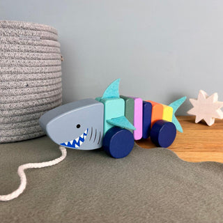 Childrens Pull Along Toy Shark | Wooden Push And Pull Along Toy For 1 Year Olds