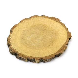 Set of 6 Natural Wood Tree Log Slices | Rustic Wedding Decorations Candle Stand | Drinks Coasters
