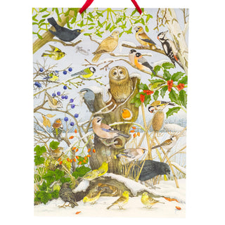 Birds in Winter Christmas Advent Calendar with Sound | Birdsong Advent Calendar