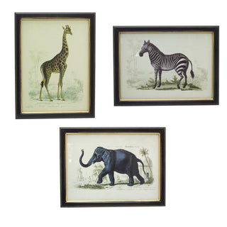 Set Of 3 Jungle Safari Animal Pictures For Walls | 3 Piece Zebra Elephant Giraffe Wall Art Framed Animal Prints | Pack Of Three Animal Framed Wall Art