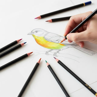 80 Colouring Pencils with Storage Box, Artist Drawing & Colouring Pencils