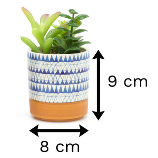 Artificial Succulent Potted Plant | Faux Plant And Ceramic Planter | Fake Plants Cactus Home Decor - Design Varies One Supplied