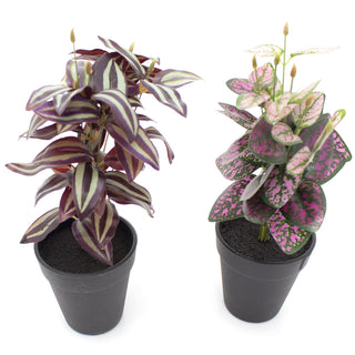 Artificial Faux Decorative Plant With Planter Pot ~ Design Varies - One Supplied