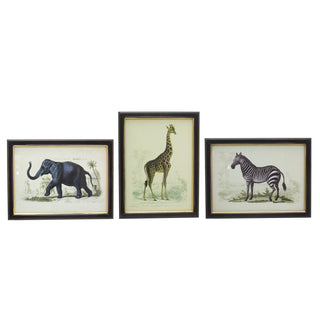 Set Of 3 Jungle Safari Animal Pictures For Walls | 3 Piece Zebra Elephant Giraffe Wall Art Framed Animal Prints | Pack Of Three Animal Framed Wall Art
