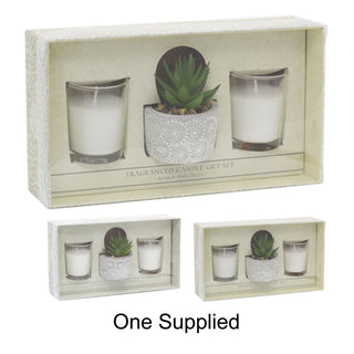 Aromatherapy Gift Set Scented Candles And Faux Succulent Plant | Fragrance Tealight Candles With Planter | Candle Gift Box - One Supplied