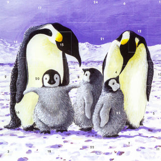Christmas Advent Calendar Penguin Family | Penguins Picture Advent Calendar