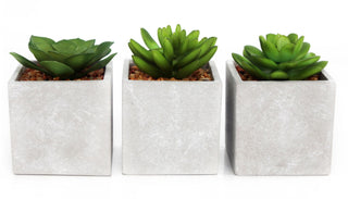 Artificial Fake Succulent Cactus Plant With Faux Cement Planter Pot