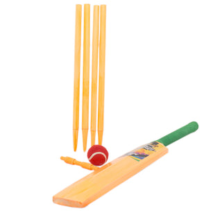 V12 Sport Neon Beach Play Cricket Set - Size 5 | 10+ Years Junior Cricket Bat Set For Kids | Children's Cricket Bat Garden Outdoor Games - Colour Varies One Supplied