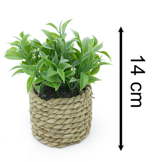 14cm Artificial Plant In Decorative Rope Planter Small Fake Plant | Plant Pots Indoor Ferns Decorative Artificial Plant | Faux Artificial Potted Plant - Design Varies One Supplied