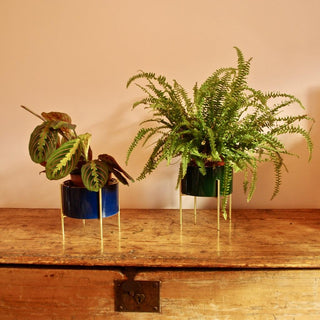 Small Gold Lined Ceramic Cache Plant Pot Planter With Stand