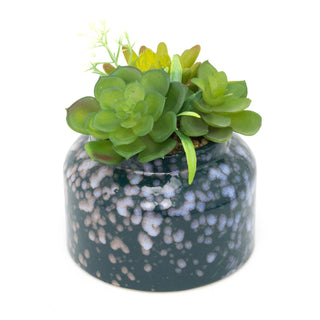 Artificial Succulent Potted Plant | Faux Plant And Ceramic Planter | Fake House Plant Home Decor