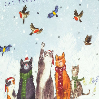 Christmas Cat Treat Advent Calendar | Pet Treat Advent Calendar For Cats Cat Xmas Treats | Christmas Treats For Cats Cat Christmas Calendar