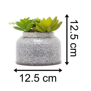 Artificial Succulent Potted Plant | Faux Plant And Ceramic Planter | Fake House Plant Home Decor