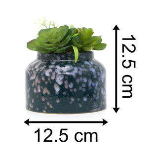Artificial Succulent Potted Plant | Faux Plant And Ceramic Planter | Fake House Plant Home Decor