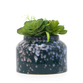 Artificial Succulent Potted Plant | Faux Plant And Ceramic Planter | Fake House Plant Home Decor