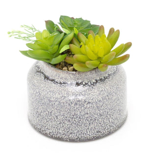Artificial Succulent Potted Plant | Faux Plant And Ceramic Planter | Fake House Plant Home Decor