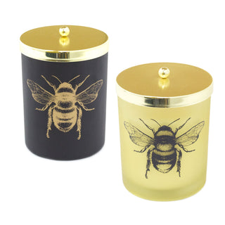 Honey Bee Scented Candle In Glass Pot | Fragranced Candle Holder Aroma Candle And Pot | Bee Candle Holder With Fragrance Candle Bee Decoration