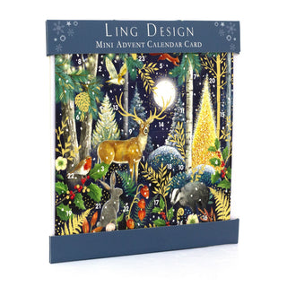 Magical Wonderland - Christmas Advent Calendar | Greetings Card & Envelope
