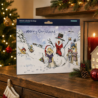Dog Treat Advent Calendar, Turkey Christmas Countdown with Numbered Doors