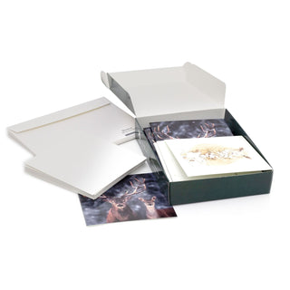 Pack of 20 National Trust Charity Christmas Greeting Cards | Winter Wildlife