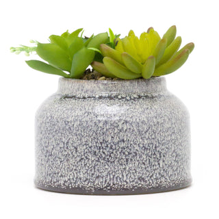 Artificial Succulent Potted Plant | Faux Plant And Ceramic Planter | Fake House Plant Home Decor