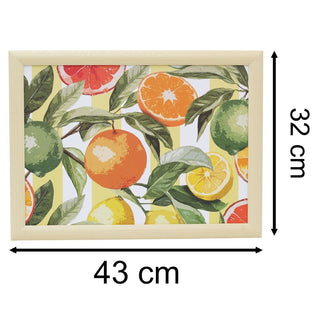 Citrus Lap Tray with Cushion, 43cm Bean Bag Cushioned Padded Laptray for Eating