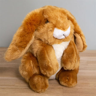 Soft Plush Bunny Rabbit Soft Toy | Kids Rabbit Stuffed Animal Soft Cuddly Toy