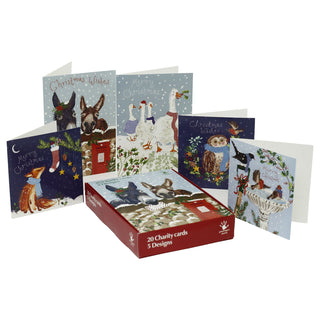 Greenfingers Charity Christmas Cards Box of 20 Cards with 5 Designs, Illustrated