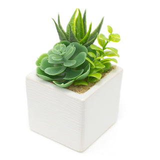 Stylish Artificial Succulent Potted Plants | Faux Plant And Ceramic Planter | Fake House Plant Home Decor