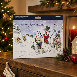 Dog Treat Advent Calendar, Turkey Christmas Countdown with Numbered Doors