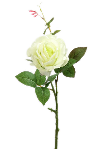 Beautiful Single Champagne Cream Ivory Rose Stem Artificial Flower