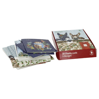 Greenfingers Charity Christmas Cards Box of 20 Cards with 5 Designs, Illustrated
