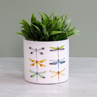 White Terracotta Planter | Nature-Inspired Butterflies and Dragonflies Plant Pot