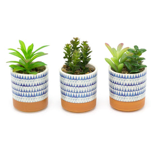 Artificial Succulent Potted Plant | Faux Plant And Ceramic Planter | Fake Plants Cactus Home Decor - Design Varies One Supplied