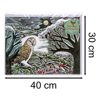 Owl in Winter Pop-up 3D Advent Calendar | Bird Christmas Calendar - 40x30cm