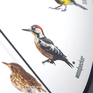 Birdsong Wall Clock with 12 Bird Designs and Hourly Chirps | Bird Clock - 25cm