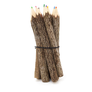 Pack Of 10 Large Tamarind Tree Branch Twig Pencils | 10 Piece Colouring Pencils Rustic Wooden Pencils | 10 Multi Coloured Pencils Eco Friendly Party Bag Fillers