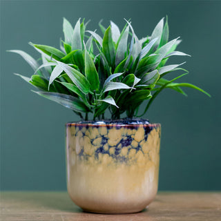 Ombre Glaze Ceramic Plant Pot Decorative Cachepot Planter Indoor Flower Pot 9cm