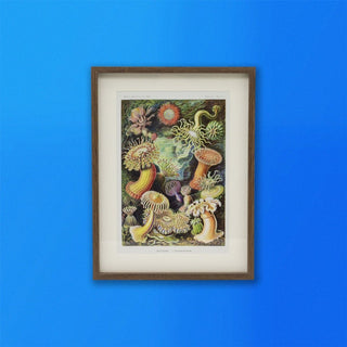 Framed Ocean Sea Plant Prints Botanical Wall Art Pictures For Walls - Portrait