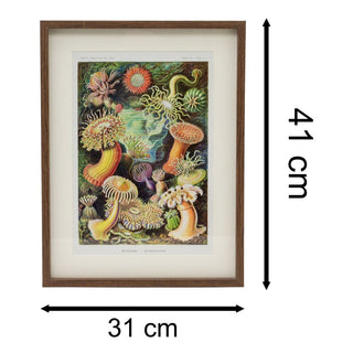 Framed Ocean Sea Plant Prints Botanical Wall Art Pictures For Walls - Portrait