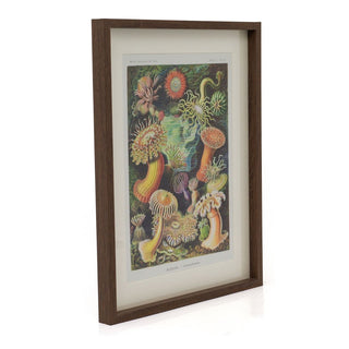Framed Ocean Sea Plant Prints Botanical Wall Art Pictures For Walls - Portrait