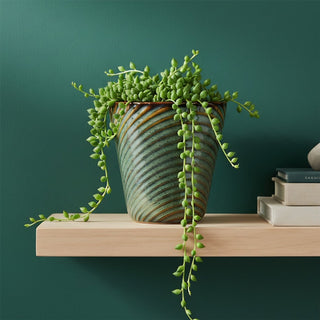 Green Ceramic Plant Pot 11cm Reactive Glaze Indoor Succulent Planter Flower Pot