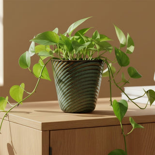 Green Ceramic Plant Pot 11cm Reactive Glaze Indoor Succulent Planter Flower Pot