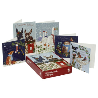 Greenfingers Charity Christmas Cards Box of 20 Cards with 5 Designs, Illustrated